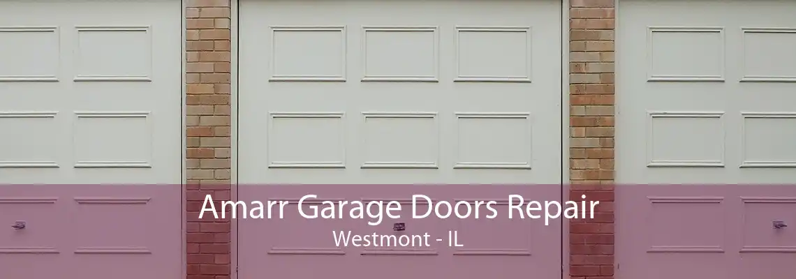 Amarr Garage Doors Repair Westmont - IL