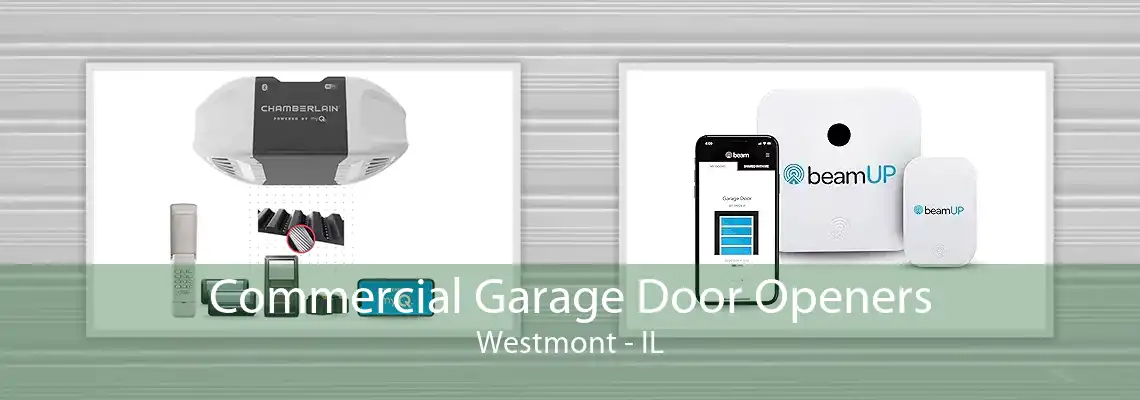 Commercial Garage Door Openers Westmont - IL