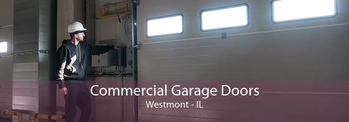 Commercial Garage Doors Westmont - IL