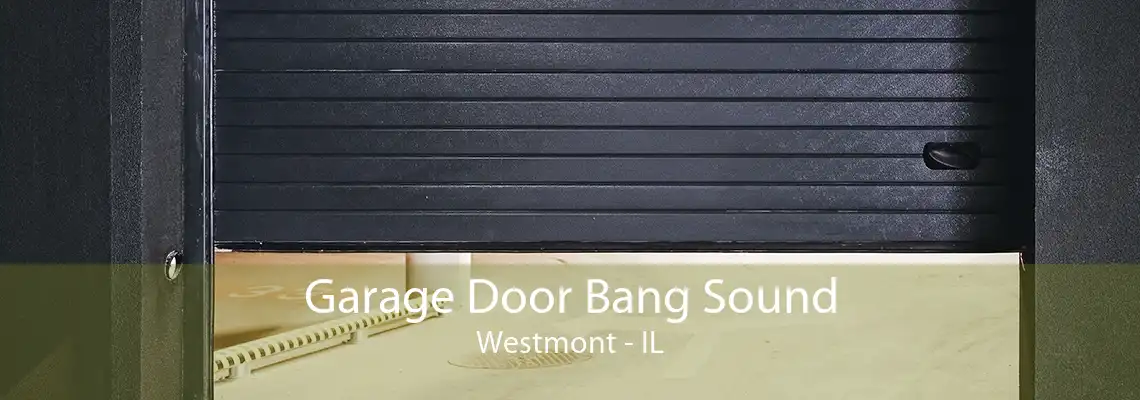 Garage Door Bang Sound Westmont - IL