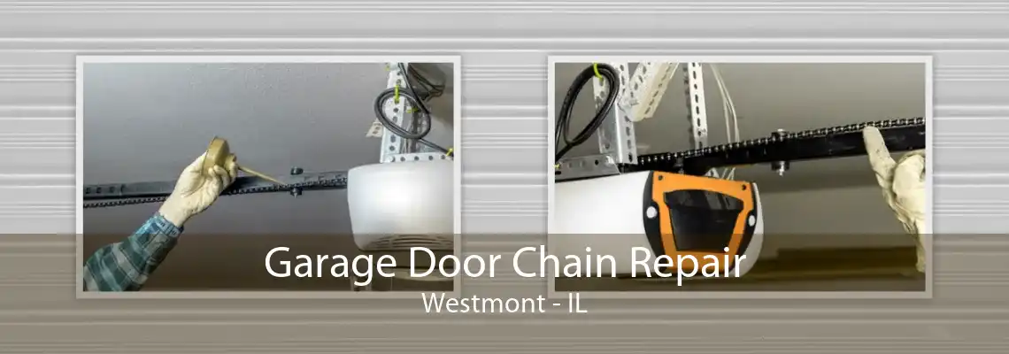 Garage Door Chain Repair Westmont - IL