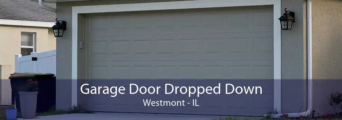 Garage Door Dropped Down Westmont - IL