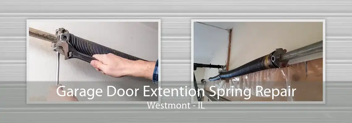 Garage Door Extention Spring Repair Westmont - IL