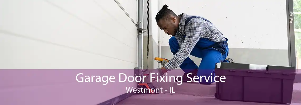 Garage Door Fixing Service Westmont - IL