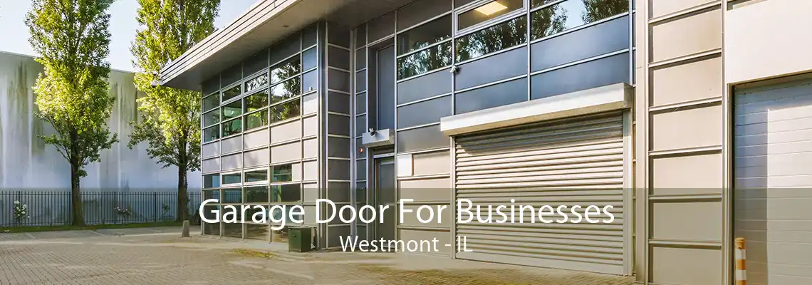 Garage Door For Businesses Westmont - IL