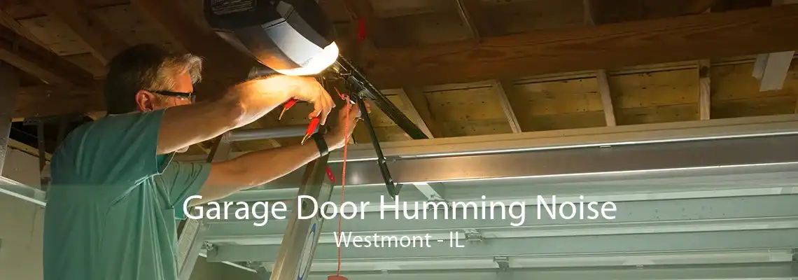 Garage Door Humming Noise Westmont - IL