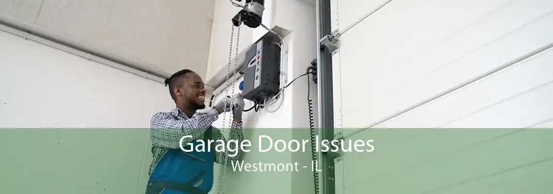 Garage Door Issues Westmont - IL