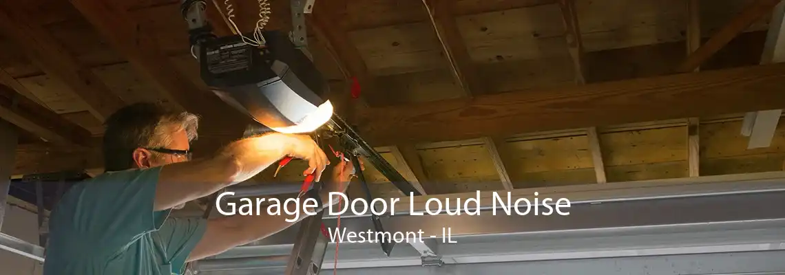 Garage Door Loud Noise Westmont - IL