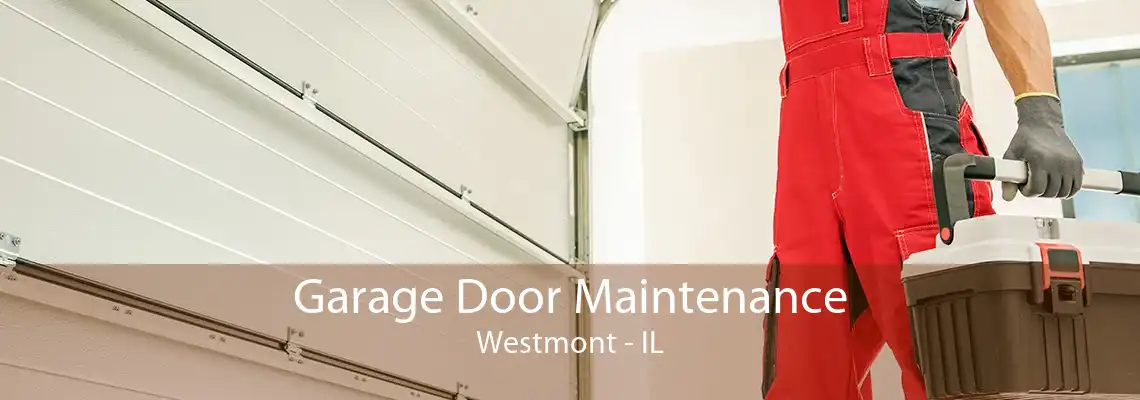 Garage Door Maintenance Westmont - IL