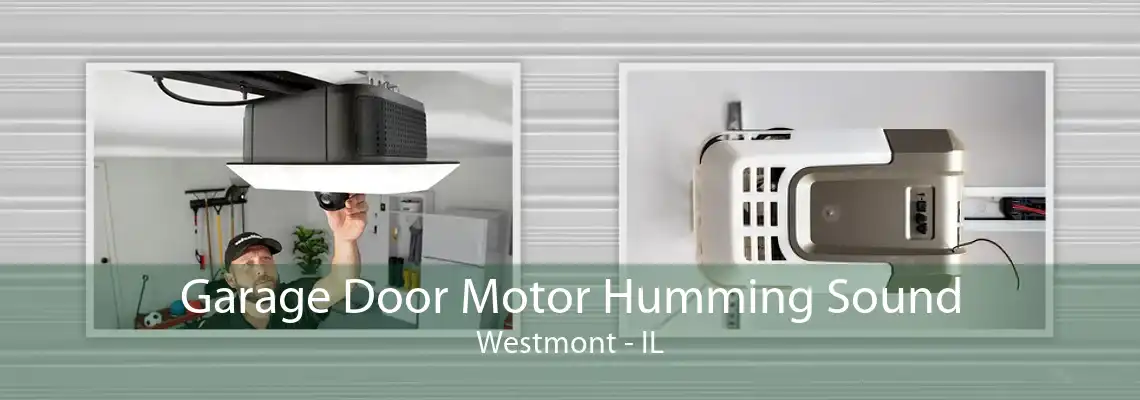 Garage Door Motor Humming Sound Westmont - IL