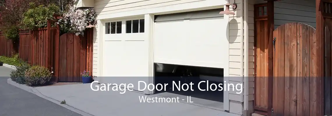 Garage Door Not Closing Westmont - IL