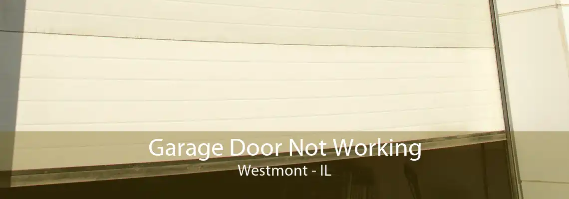 Garage Door Not Working Westmont - IL