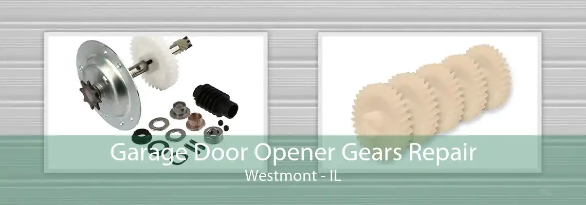 Garage Door Opener Gears Repair Westmont - IL