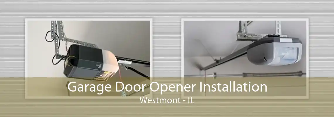 Garage Door Opener Installation Westmont - IL