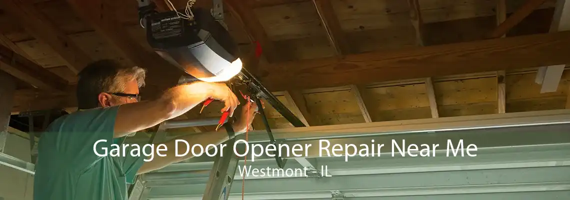 Garage Door Opener Repair Near Me Westmont - IL