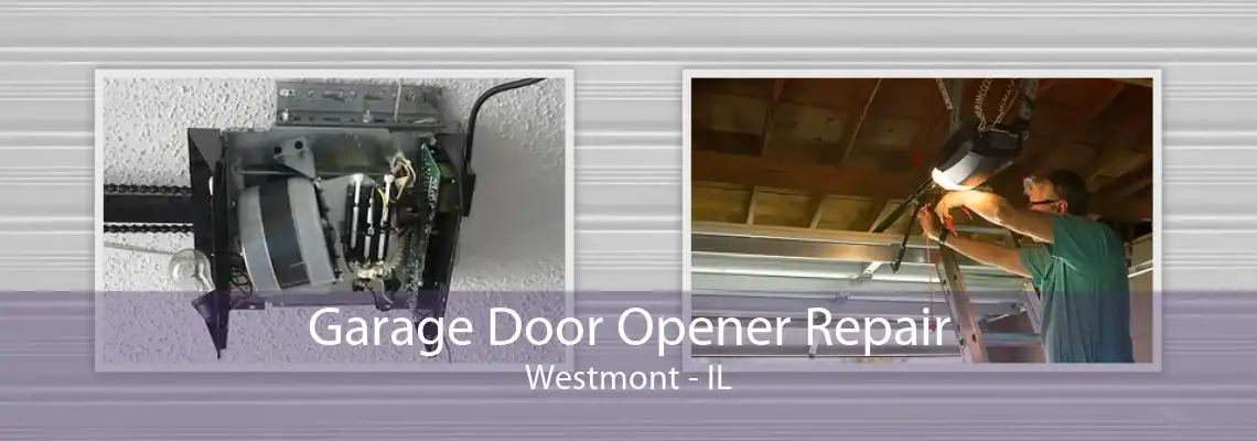 Garage Door Opener Repair Westmont - IL