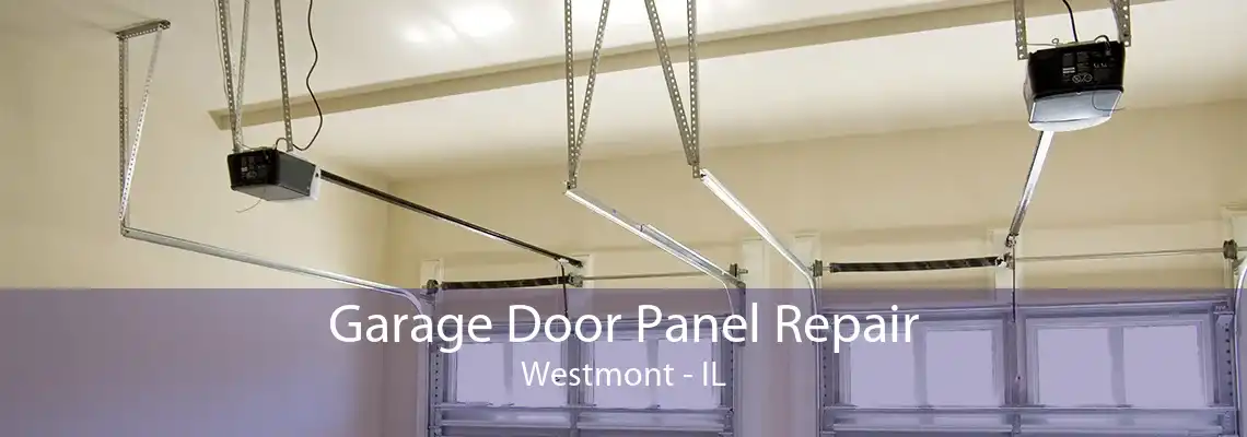 Garage Door Panel Repair Westmont - IL