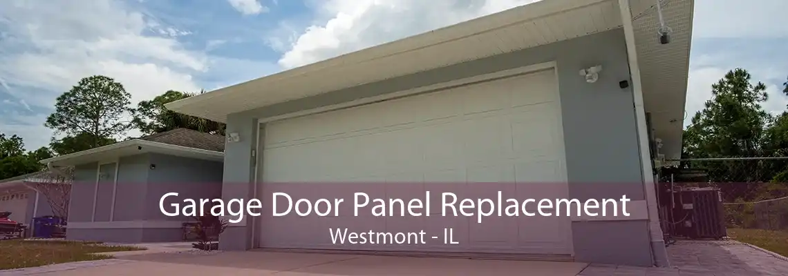 Garage Door Panel Replacement Westmont - IL