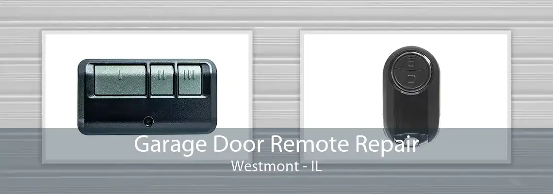 Garage Door Remote Repair Westmont - IL