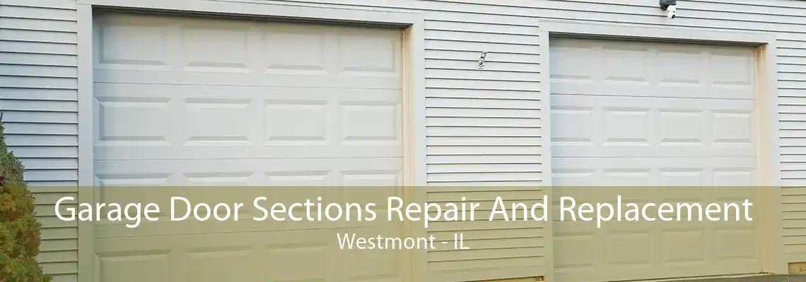 Garage Door Sections Repair And Replacement Westmont - IL