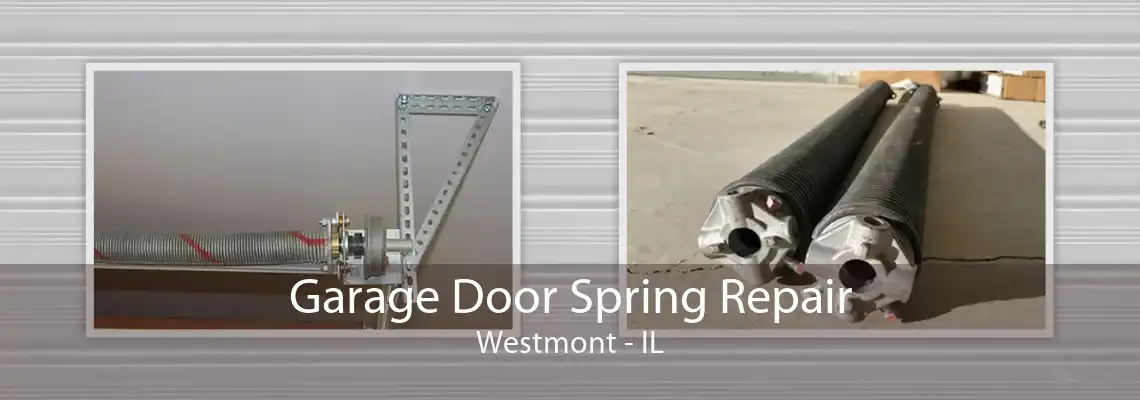 Garage Door Spring Repair Westmont - IL