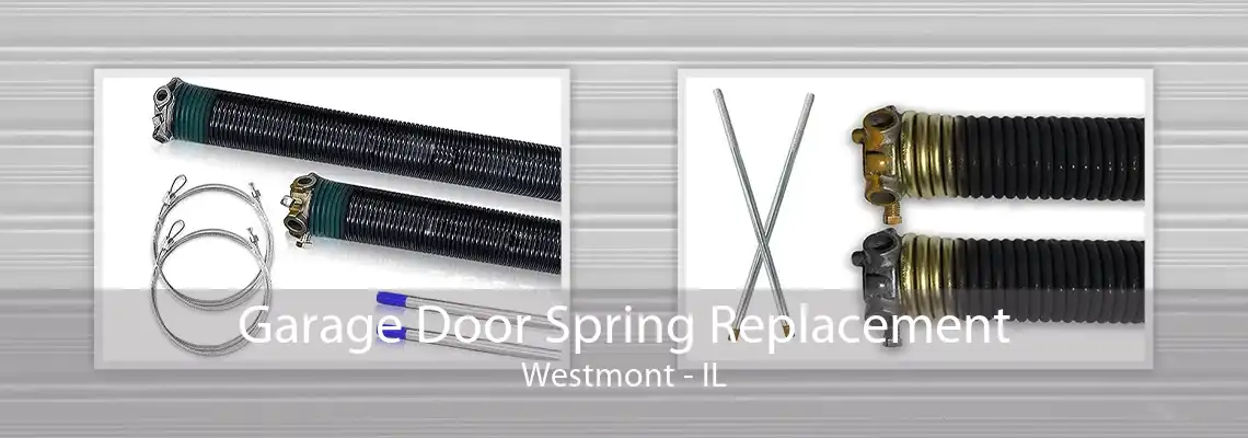 Garage Door Spring Replacement Westmont - IL