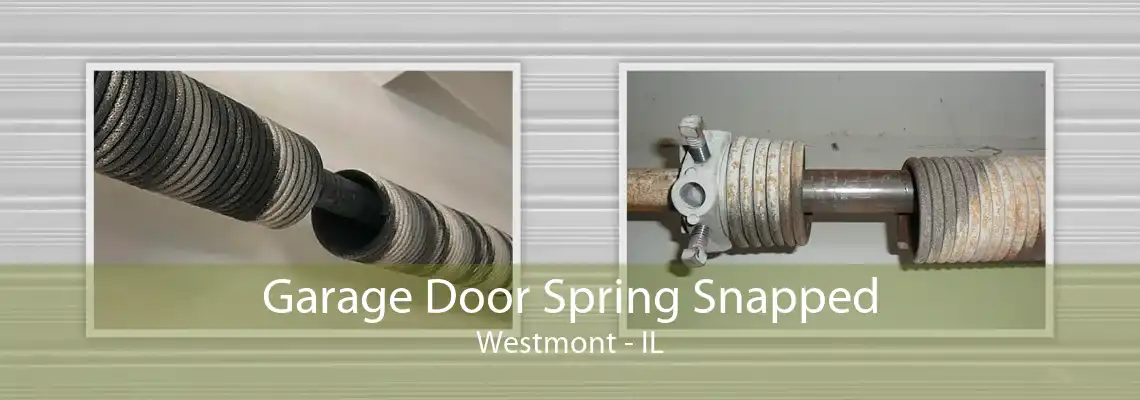 Garage Door Spring Snapped Westmont - IL