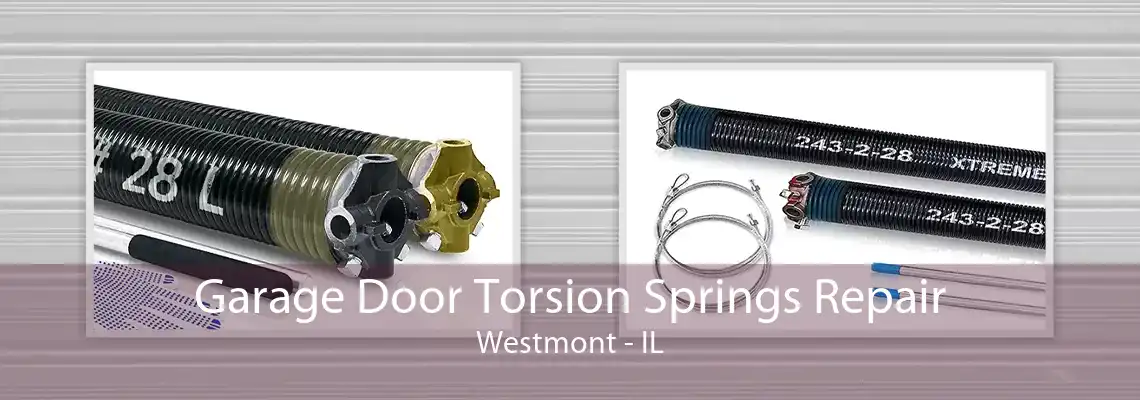 Garage Door Torsion Springs Repair Westmont - IL