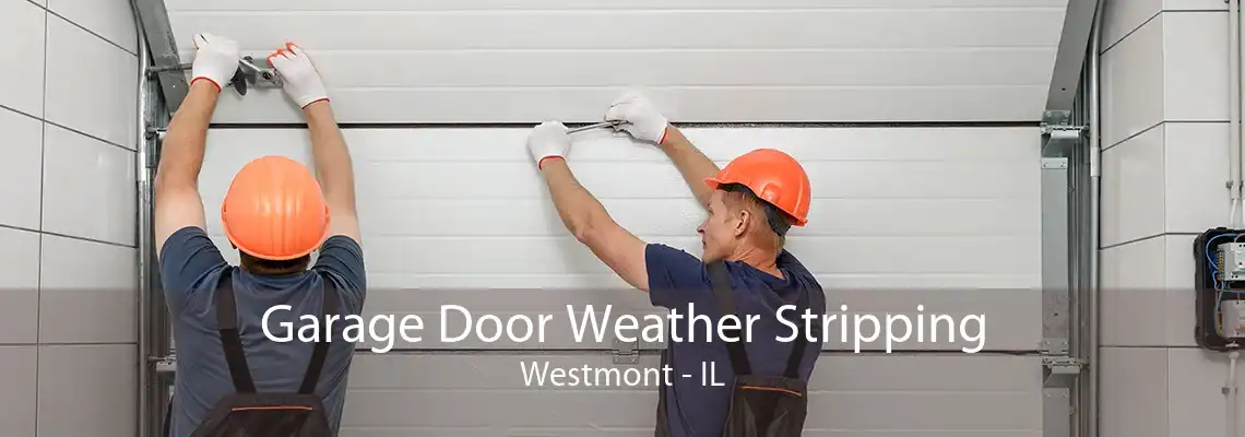 Garage Door Weather Stripping Westmont - IL