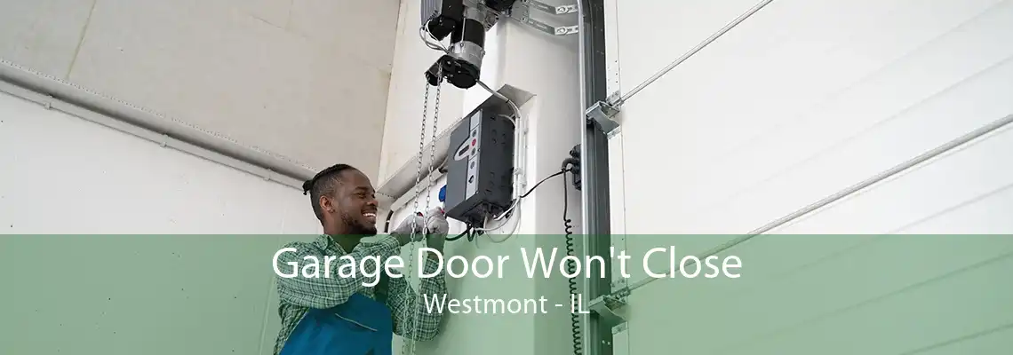 Garage Door Won't Close Westmont - IL