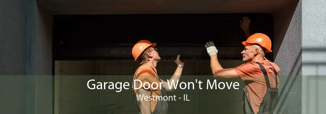 Garage Door Won't Move Westmont - IL