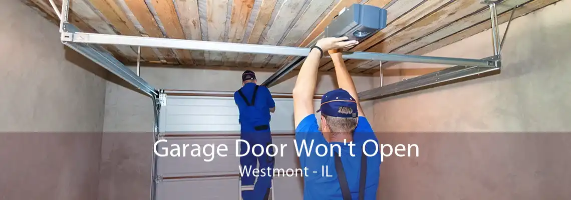 Garage Door Won't Open Westmont - IL