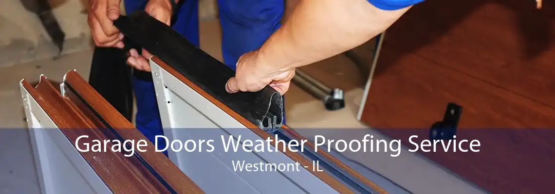 Garage Doors Weather Proofing Service Westmont - IL