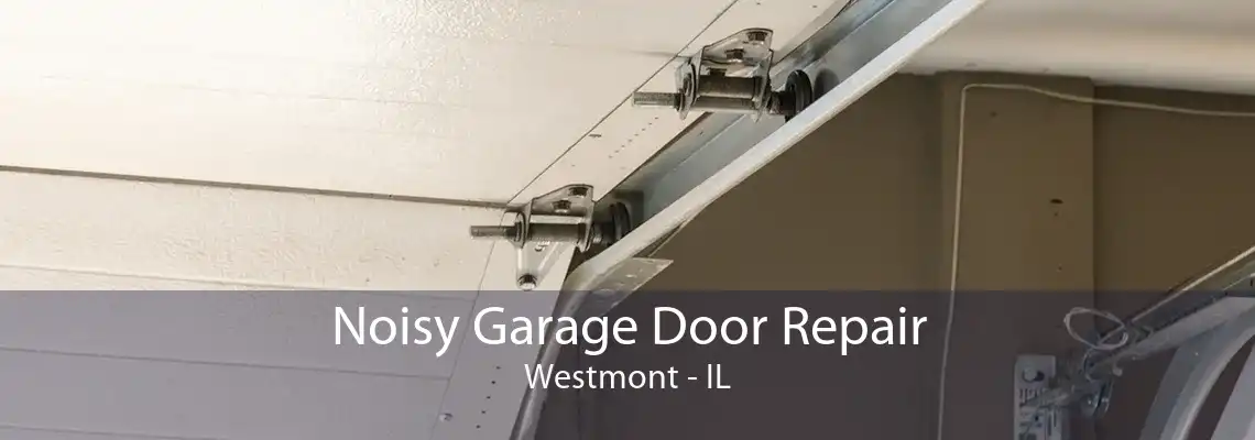 Noisy Garage Door Repair Westmont - IL