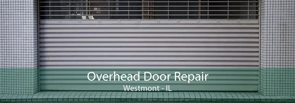 Overhead Door Repair Westmont - IL