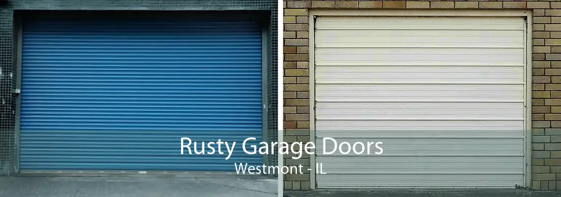 Rusty Garage Doors Westmont - IL