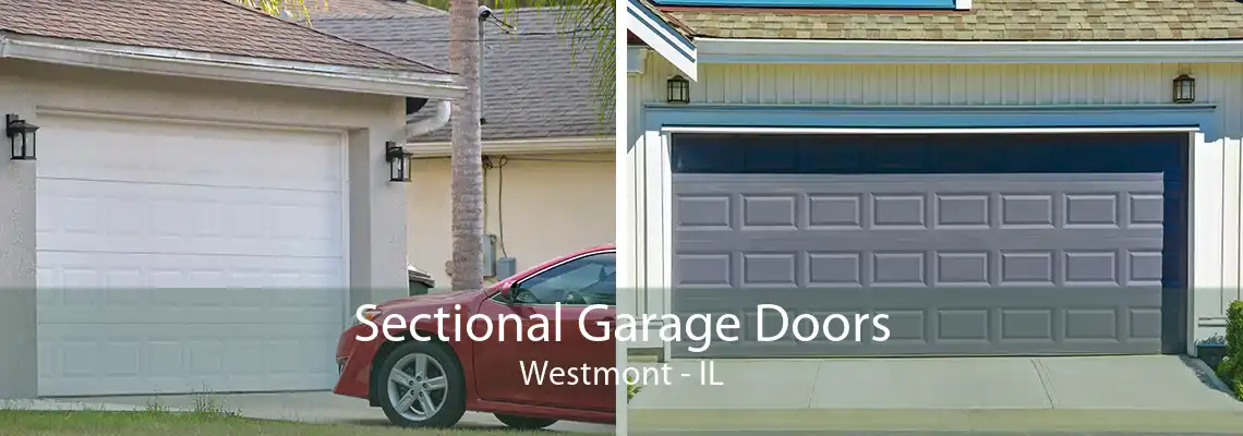 Sectional Garage Doors Westmont - IL